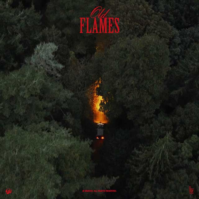 La Roux: Old flames - portada