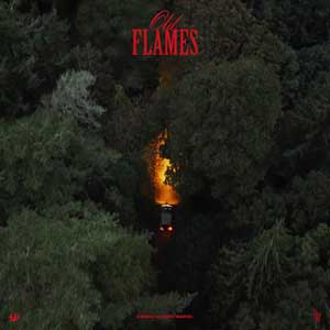 La Roux: Old flames - portada mediana
