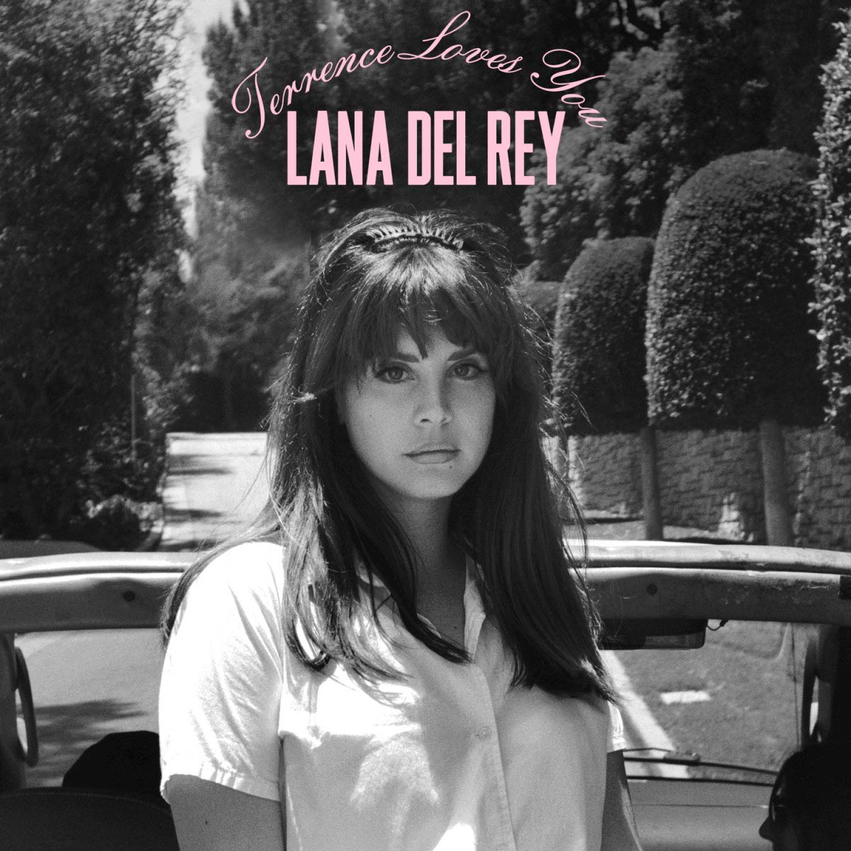 Lana Del Rey: Terrence loves you, la portada de la canción