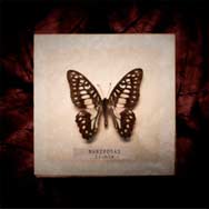 Lichis: Mariposas - portada mediana