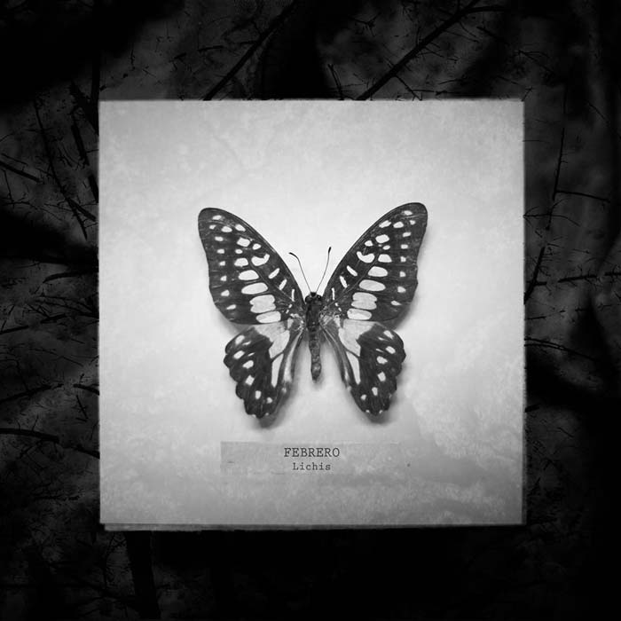 Lichis: Febrero - portada