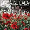 Linda Guilala: Primavera negra - portada reducida
