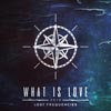 Lost frequencies: What is love 2016 - portada reducida
