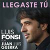 Luis Fonsi: Llegaste tú - portada reducida