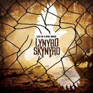 Lynyrd Skynyrd: Last of a dying breed - portada mediana