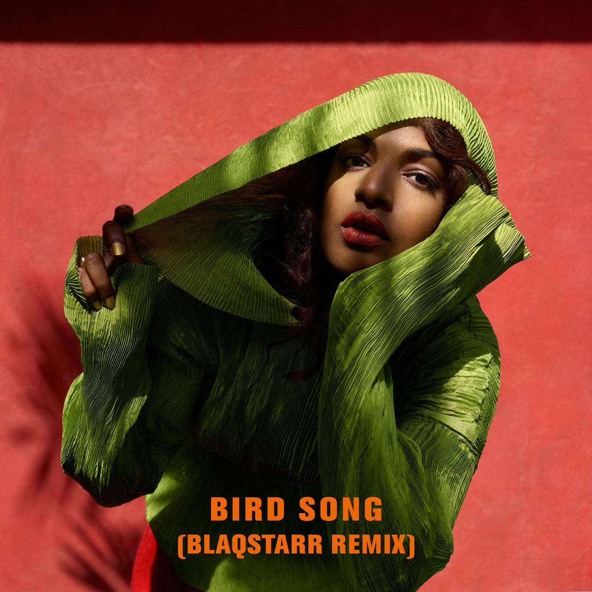 M.I.A.: Bird song - portada