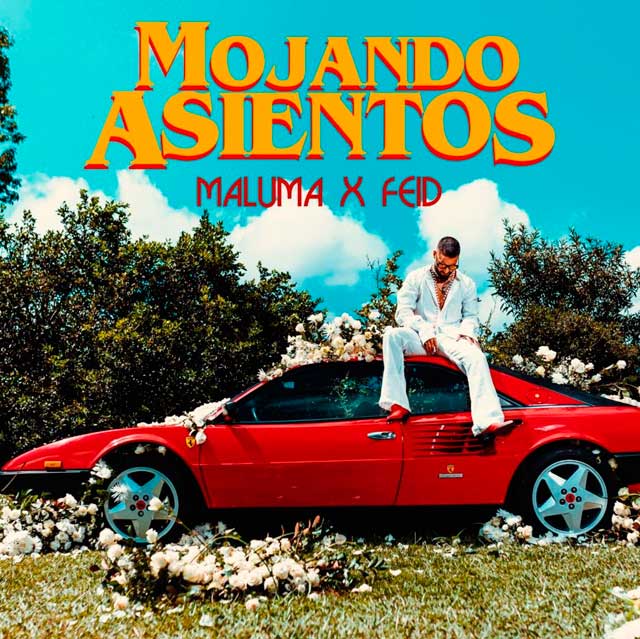 Maluma con Feid: Mojando asientos - portada