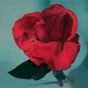 METZ: Up on gravity hill - portada mediana