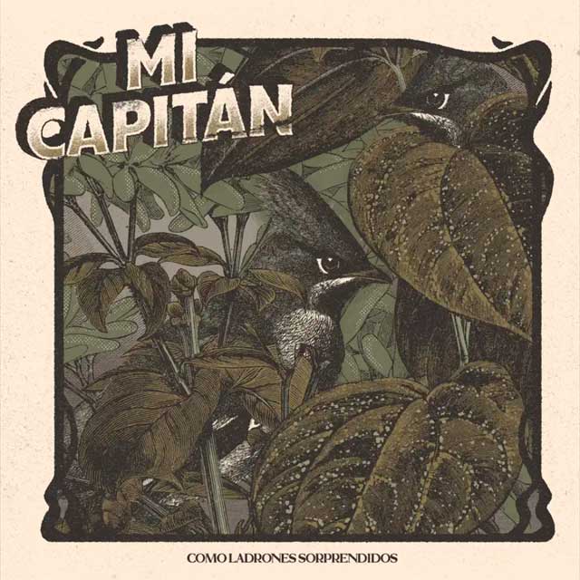 Mi Capitán: Como ladrones sorprendidos - portada