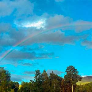 Mike Posner: Crazy rainbow - portada mediana