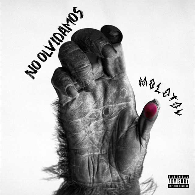 Molotov: No olvidamos - portada