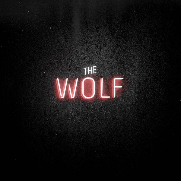Mumford & Sons: The wolf - portada