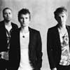 Muse / 14