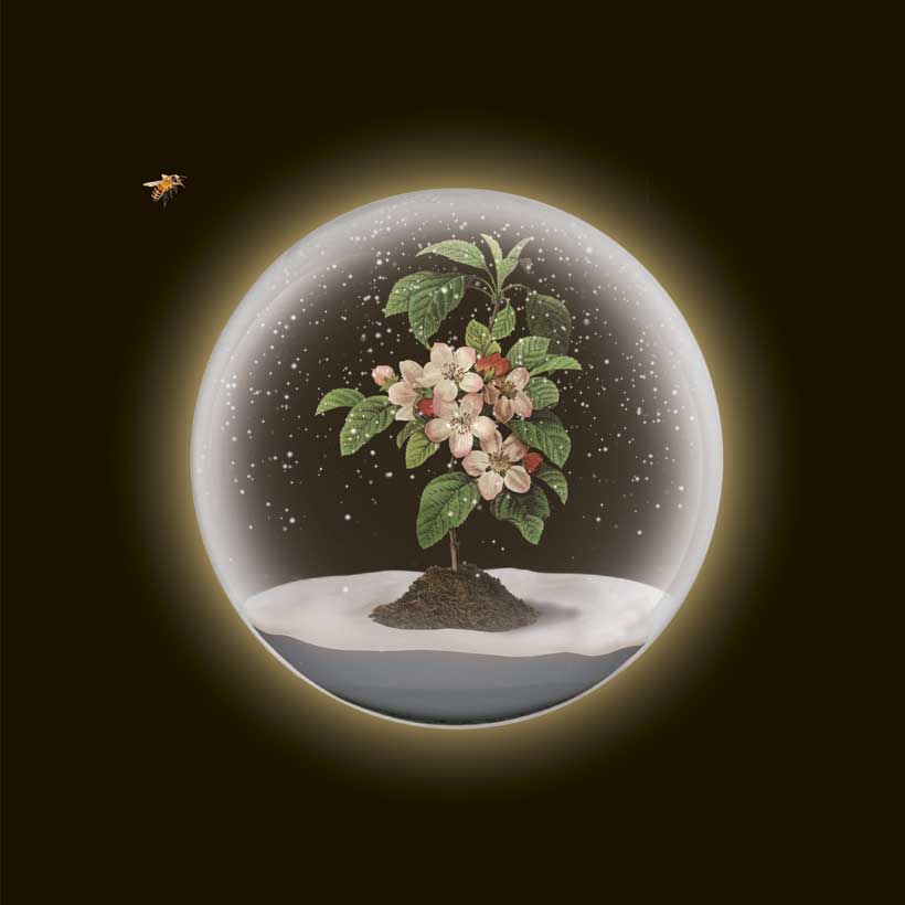 Nacho Vegas con Mancha 'E Plátano: La flor de la manzana - portada