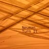 Neuman: Turn it - portada reducida