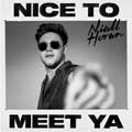 Niall Horan: Nice to meet ya - portada reducida