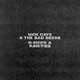 Nick Cave: B-Sides & Rarities - portada reducida