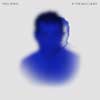Paul Simon: In the blue light - portada reducida