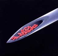 Peter Gabriel: Live Blood - portada mediana