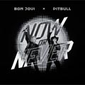 Pitbull: Now or never - portada reducida