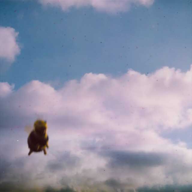 Pond: Stung! - portada