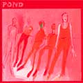 Pond: Terrestrials - portada reducida