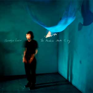 Porridge Radio: The machine starts to sing - portada mediana