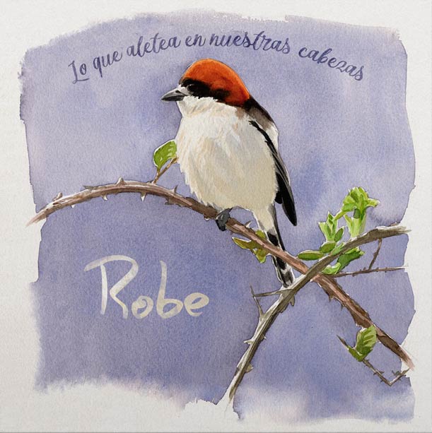 Robe: Lo que aletea en nuestras cabezas - portada