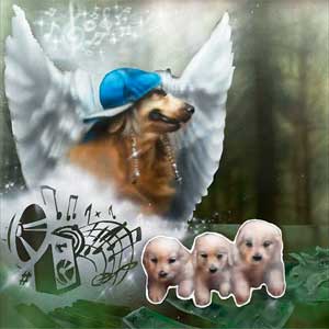 Rojuu: iNUiNUiNU - portada mediana