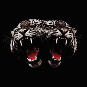 Royal Blood: Dead company - portada mediana