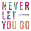 Rudimental: Never let you go - portada reducida
