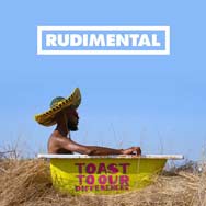 Rudimental: Toast to our differences - portada mediana