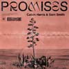 Sam Smith con Calvin Harris: Promises - portada reducida
