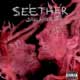 Seether: Disclaimer II - portada reducida