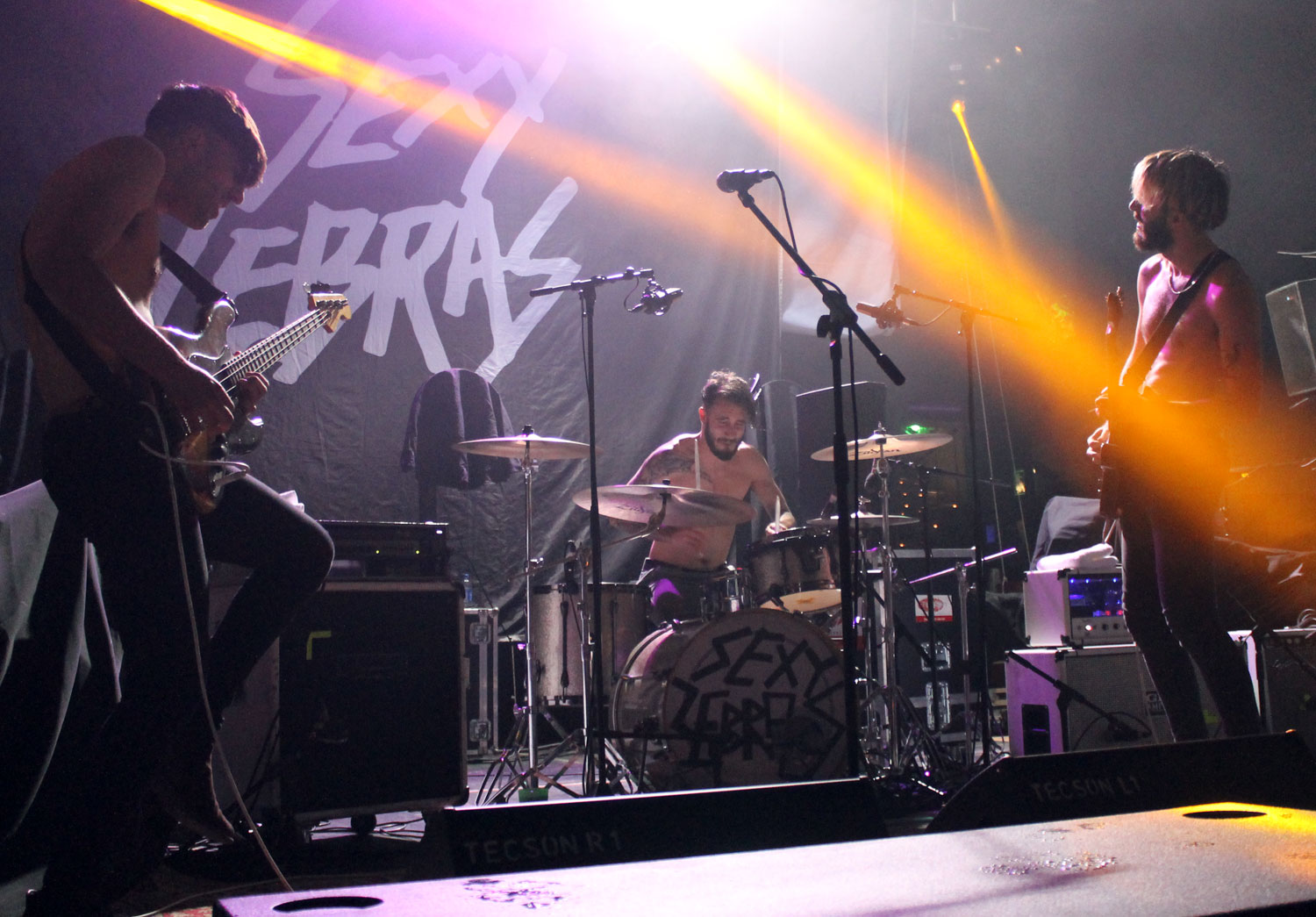 Tribeca Wintersound Sexy Zebras Oh! León. 18/12/15