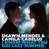 Shawn Mendes: I know what you did last summer - portada reducida