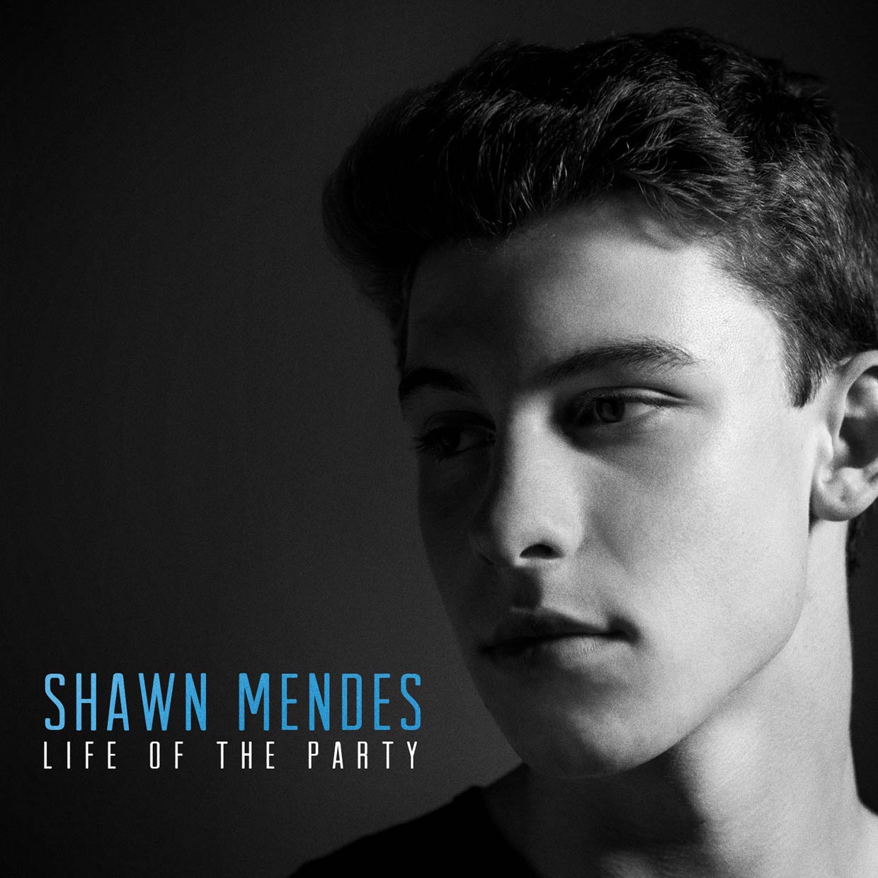 Shawn Mendes: Life of the party, la portada de la canción