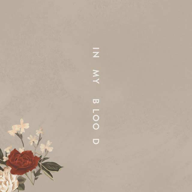 Shawn Mendes: In my blood - portada