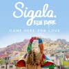 Sigala: Came here for love - portada reducida