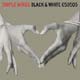 Simple Minds: Black And White 050505 - portada reducida