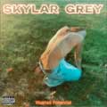 Skylar Grey: Wasted potential - portada reducida