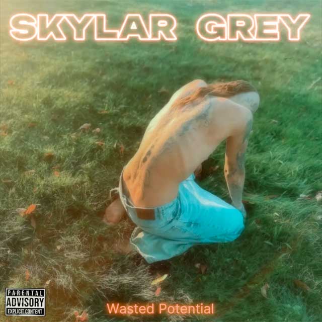Skylar Grey: Wasted potential - portada