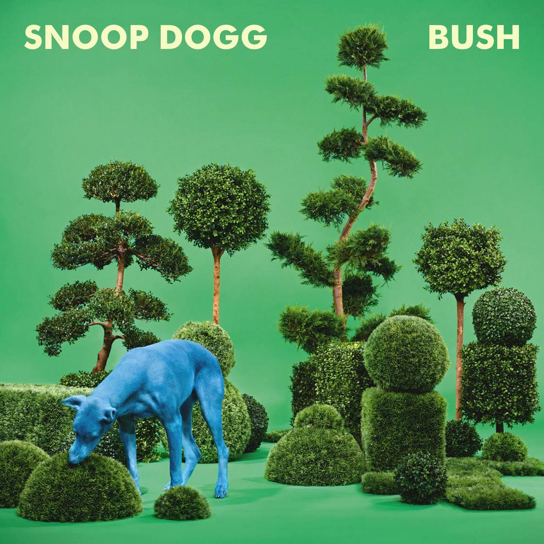 Snoop Dogg: Bush, la portada del disco