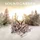 Soundgarden: King Animal - portada reducida