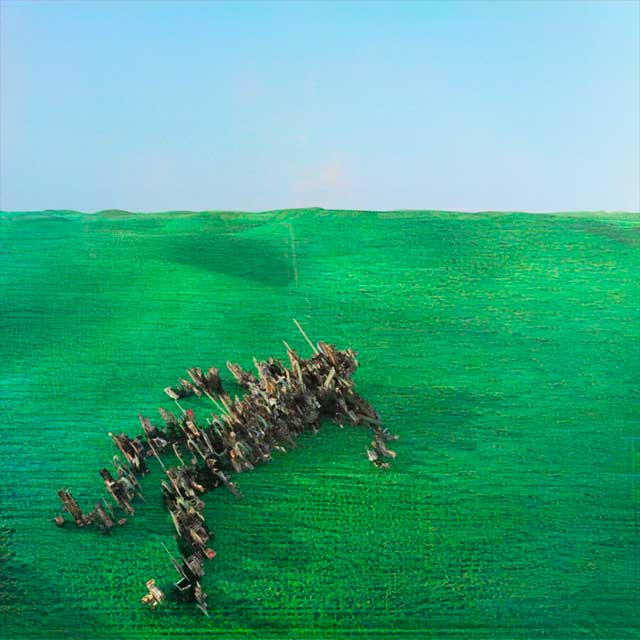 Squid: Bright green field - portada