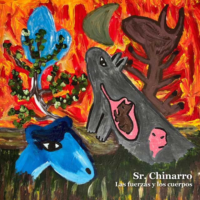 Sr. Chinarro: Las fuerzas y los cuerpos - portada
