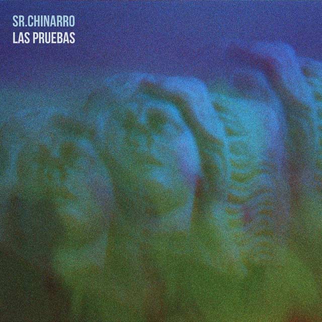 Sr. Chinarro: Las pruebas - portada