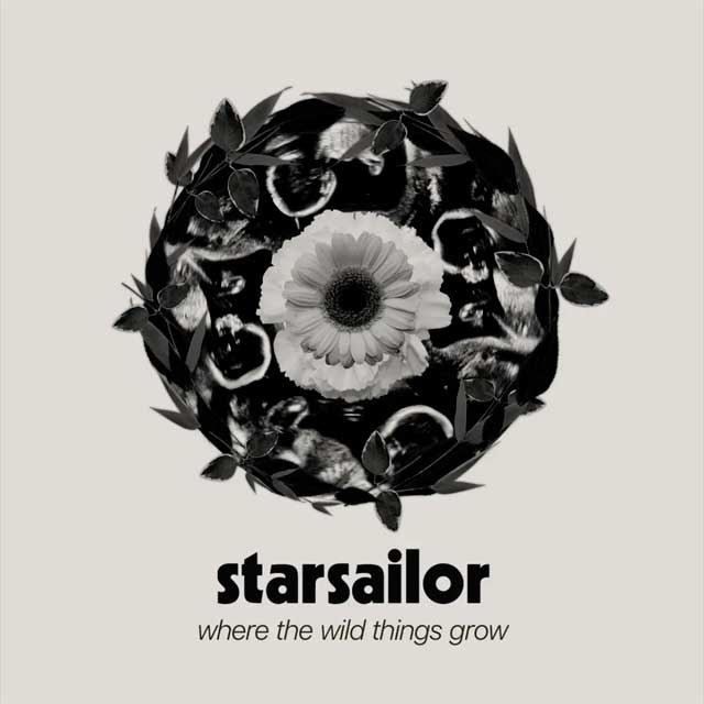 Starsailor: Where the wild things grow - portada