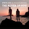 Steve Aoki con Headhunterz: The power of now - portada reducida