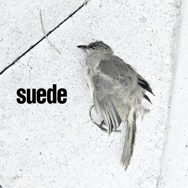 Suede: The invisibles - portada